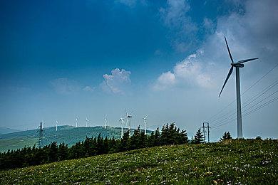 PS+欧美服2月会免游戏泄露：《四海兄弟：终极版》等